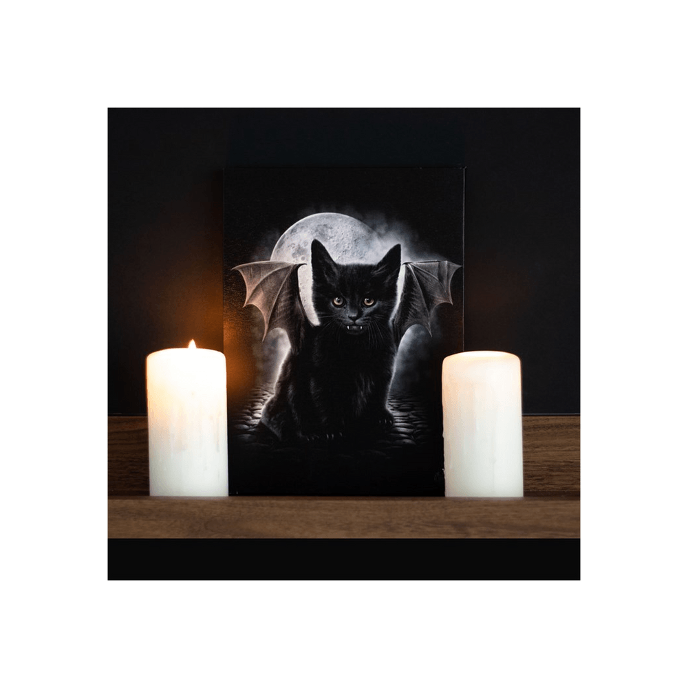 19x25cm Bat Cat Canvas Plaque by Spiral Direct - DuvetDay.co.uk