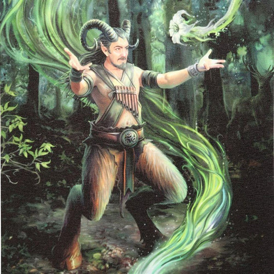 19x25cm Earth Element Wizard Canvas Plaque by Anne Stokes - DuvetDay.co.uk