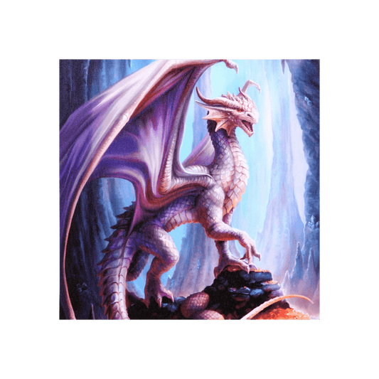 19x25cm Treasure Trove Canvas Plaque by Anne Stokes - DuvetDay.co.uk