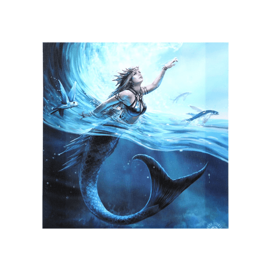19x25cm Water Element Sorceress Canvas Plaque by Anne Stokes - DuvetDay.co.uk