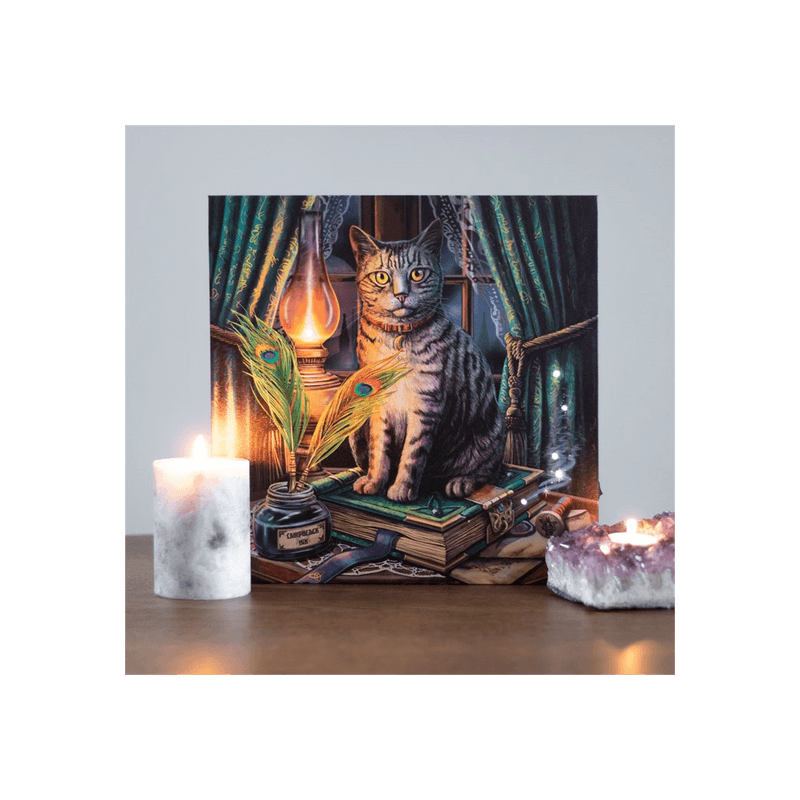 Book of Shadows Light Up Canvas Plaque by Lisa Parker - DuvetDay.co.uk