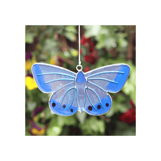 Chalkhill Blue Butterfly Suncatcher - DuvetDay.co.uk