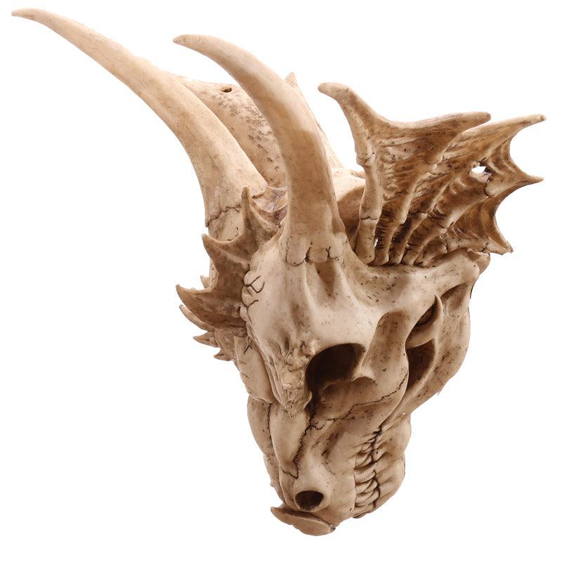 Decorative Fantasy Dragon Skull - DuvetDay.co.uk