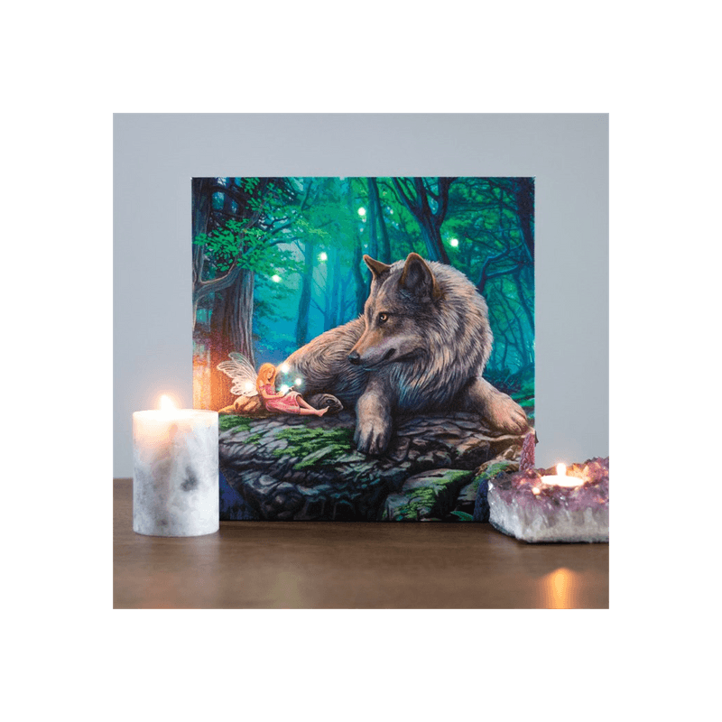 Fairy Stories Light Up Canvas Plaque by Lisa Parker - DuvetDay.co.uk