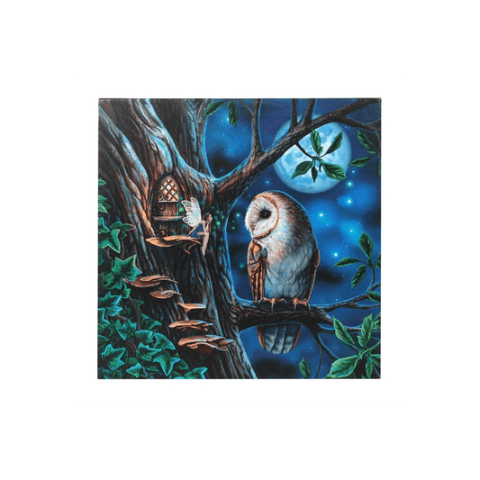 Fairy Tales Light Up Canvas Plaque by Lisa Parker - DuvetDay.co.uk