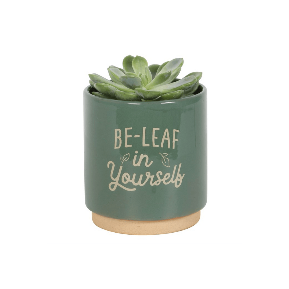 Green Be-Leaf in Yourself Plant Pot - DuvetDay.co.uk