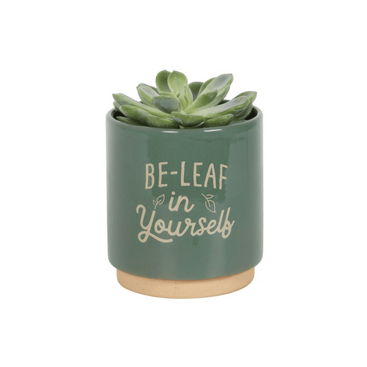 Green Be-Leaf in Yourself Plant Pot - DuvetDay.co.uk