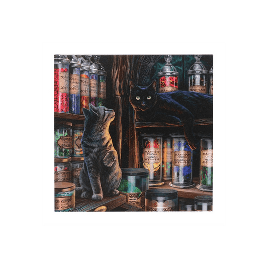 Magical Emporium Light Up Canvas Plaque by Lisa Parker - DuvetDay.co.uk