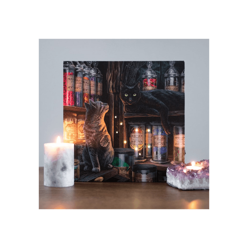 Magical Emporium Light Up Canvas Plaque by Lisa Parker - DuvetDay.co.uk