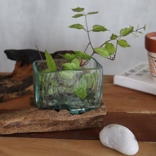 Molten Glass Tank on Wood with Stand - Small Bowl - DuvetDay.co.uk