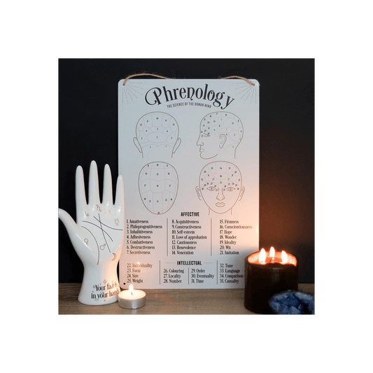 Phrenology Map Metal Sign - DuvetDay.co.uk