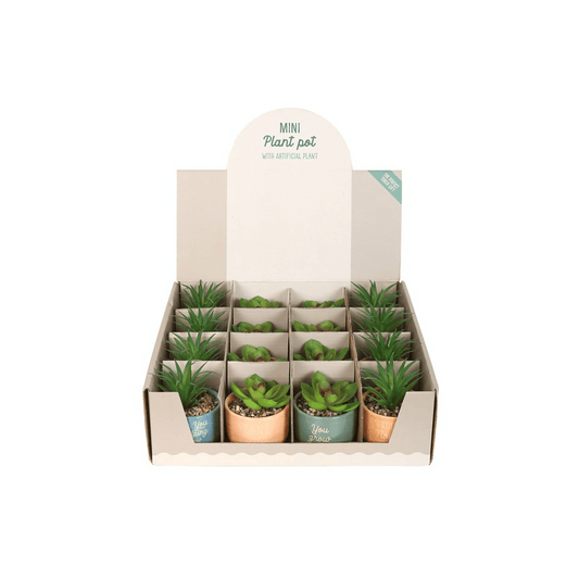Set of 16 Mini Plant Pots with Artificial Plant - DuvetDay.co.uk