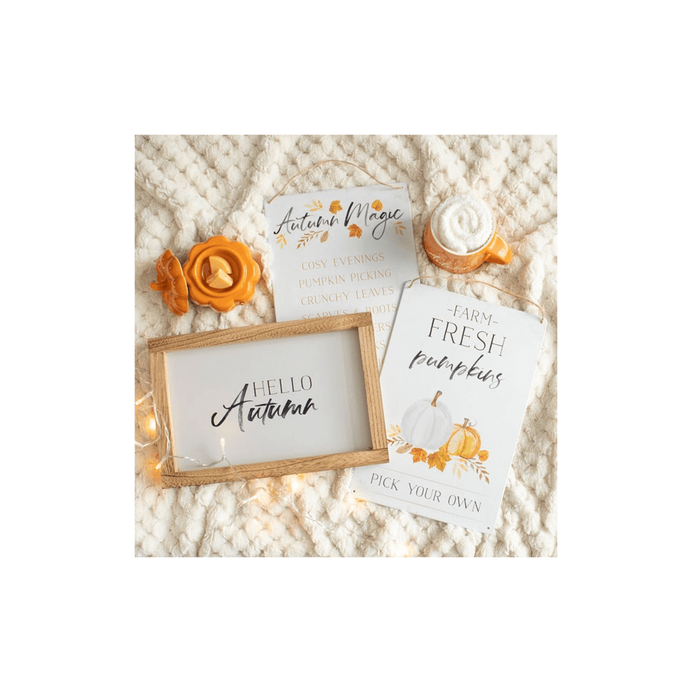 Set of 2 Autumn Accents Metal Hanging Signs - DuvetDay.co.uk