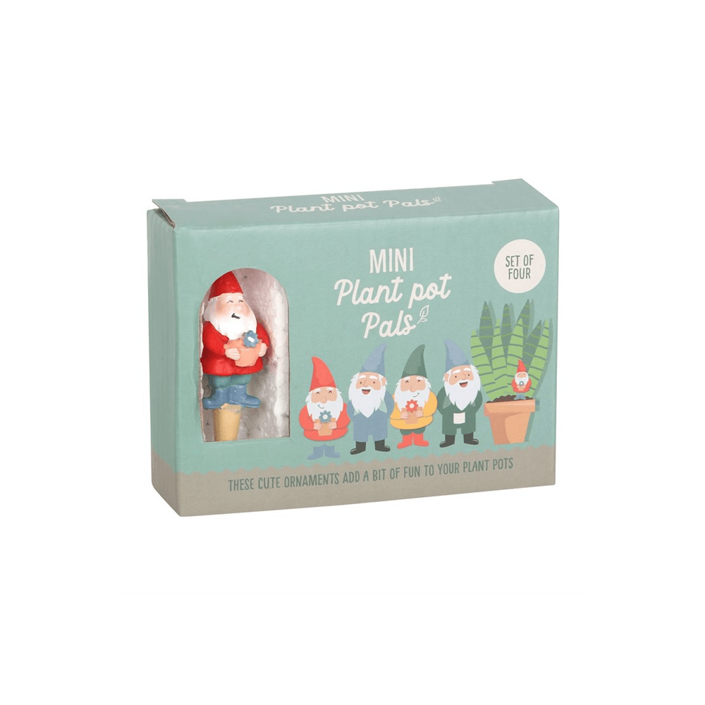 Set of 4 Mini Gnome Plant Pot Pals - DuvetDay.co.uk