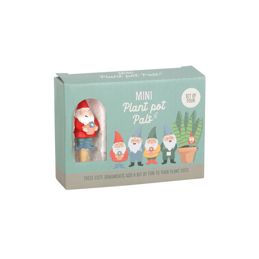 Set of 4 Mini Gnome Plant Pot Pals - DuvetDay.co.uk