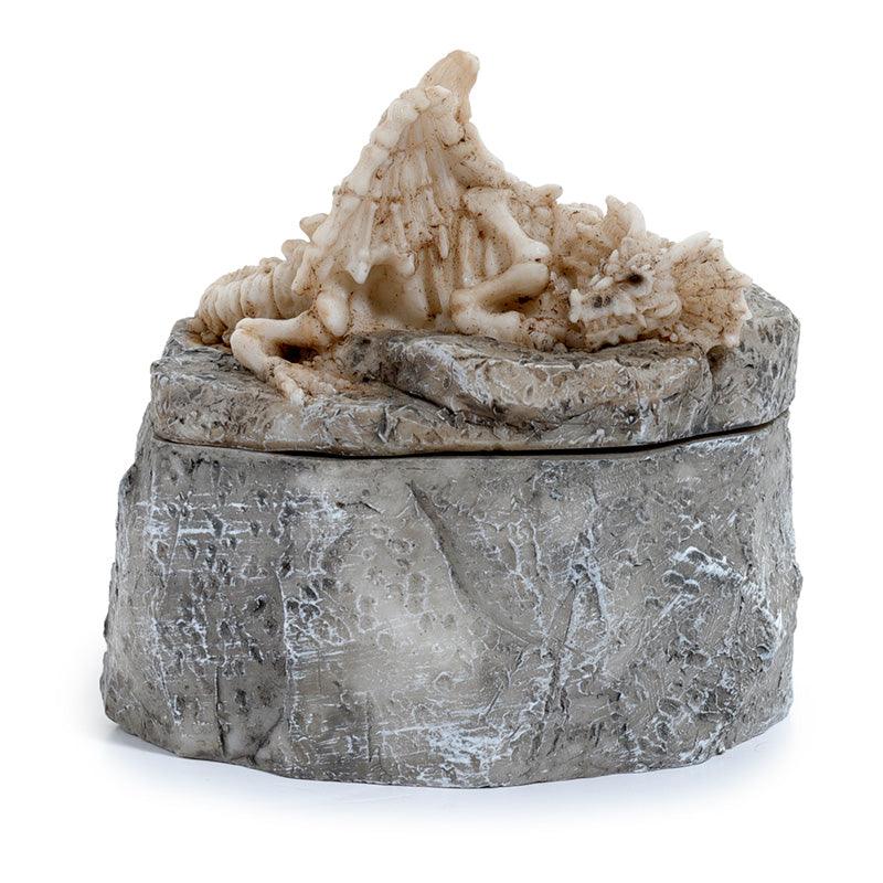 Shadows of Darkness Sleeping Bones Dragon Skeleton Trinket Box - DuvetDay.co.uk