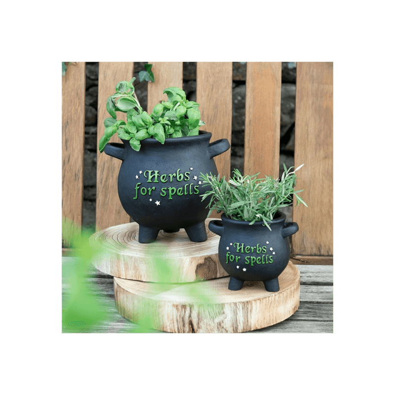 Small Herbs For Spells Cauldron Plant Pot - DuvetDay.co.uk