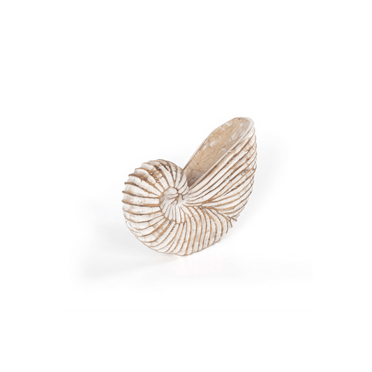 Whitewash Albasia Wood Shell Ornament - DuvetDay.co.uk