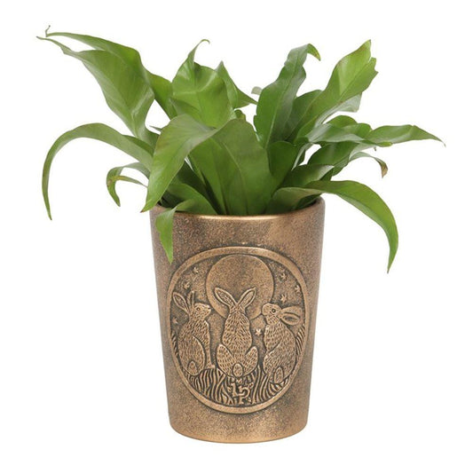 Moon Shadows Bronze Terracotta Plant Pot by Lisa Parker - DuvetDay.co.uk