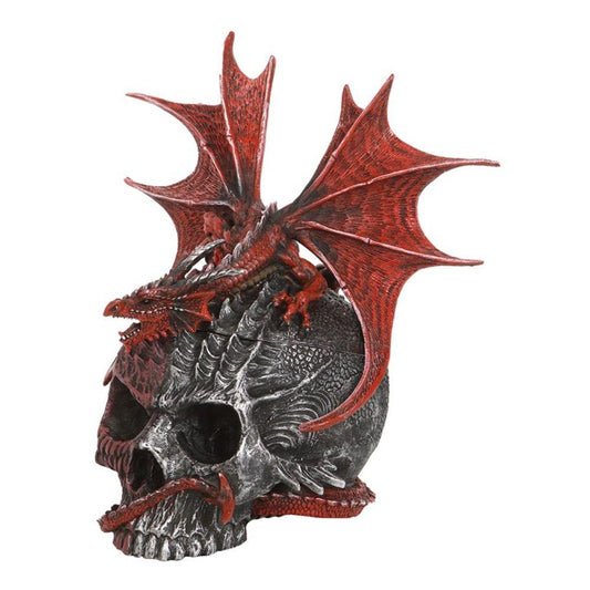 Serpent Infection Lidded Skull Ornament by Spiral Direct - DuvetDay.co.uk