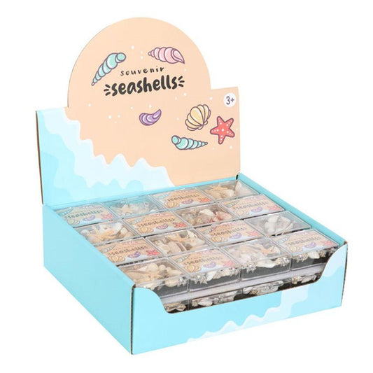 Set of 48 Souvenir Sea Shell Boxes - DuvetDay.co.uk