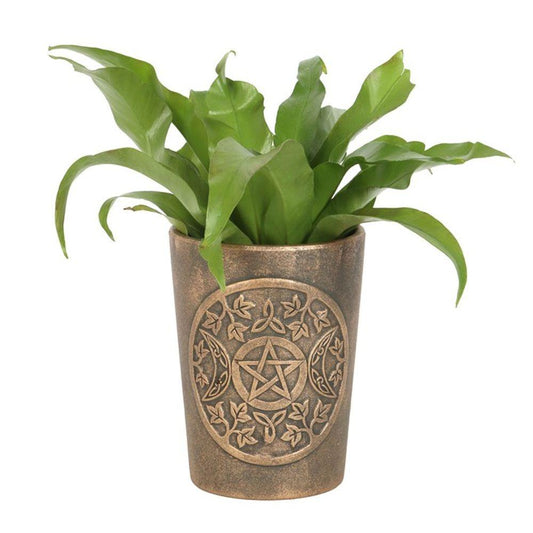 Triple Moon Bronze Terracotta Plant Pot by Lisa Parker - DuvetDay.co.uk
