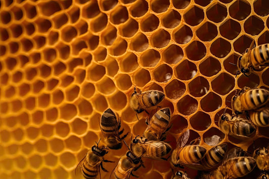 The Critical Role of Bees and How DuvetDay Can Help - DuvetDay.co.uk