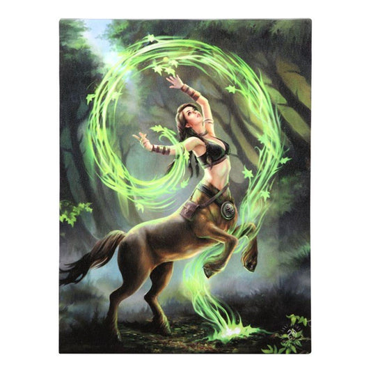 19x25cm Earth Element Sorceress Canvas Plaque by Anne Stokes - DuvetDay.co.uk