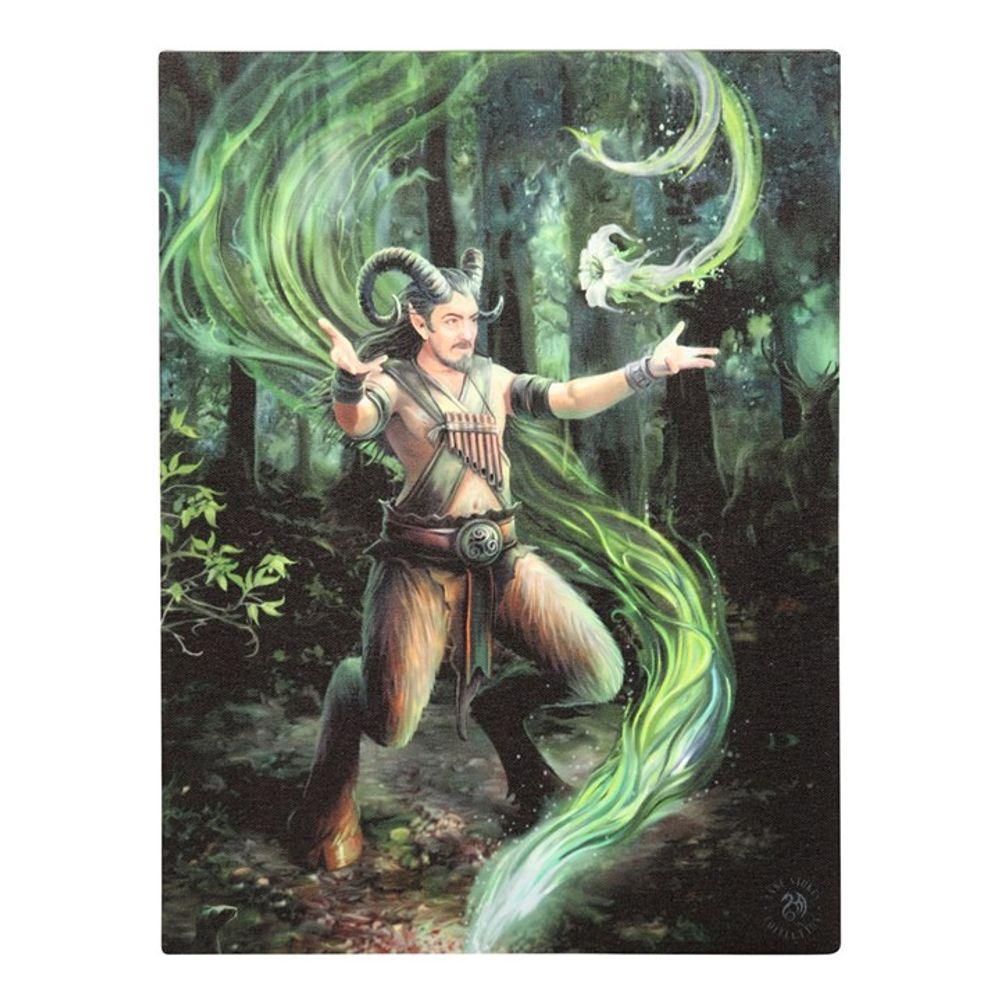 19x25cm Earth Element Wizard Canvas Plaque by Anne Stokes - DuvetDay.co.uk