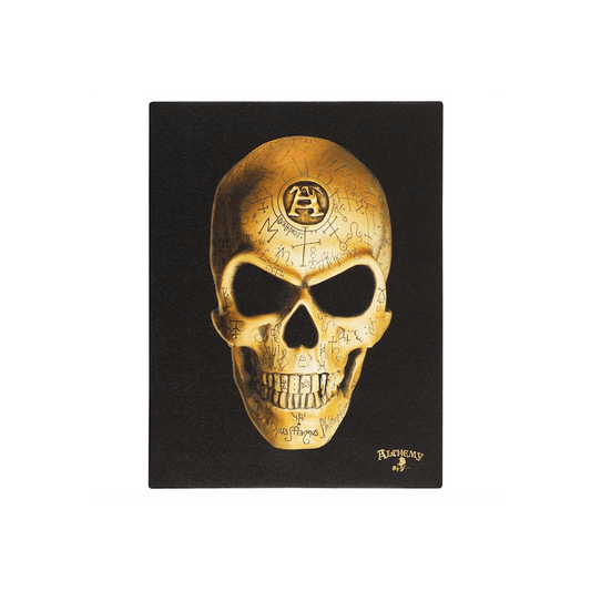 19x25cm Omega Skull Canvas Plaque by Alchemy - DuvetDay.co.uk