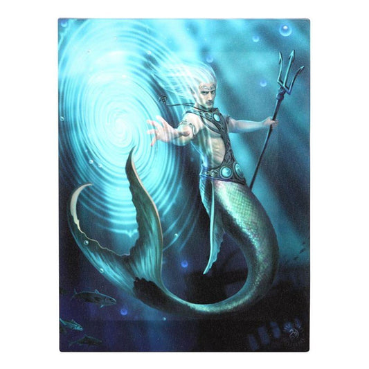 19x25cm Water Element Wizard Canvas Plaque by Anne Stokes - DuvetDay.co.uk