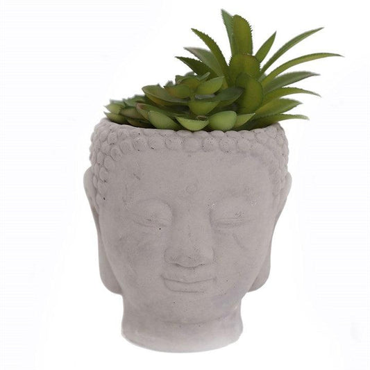 20cm Buddha Head Succulent - DuvetDay.co.uk