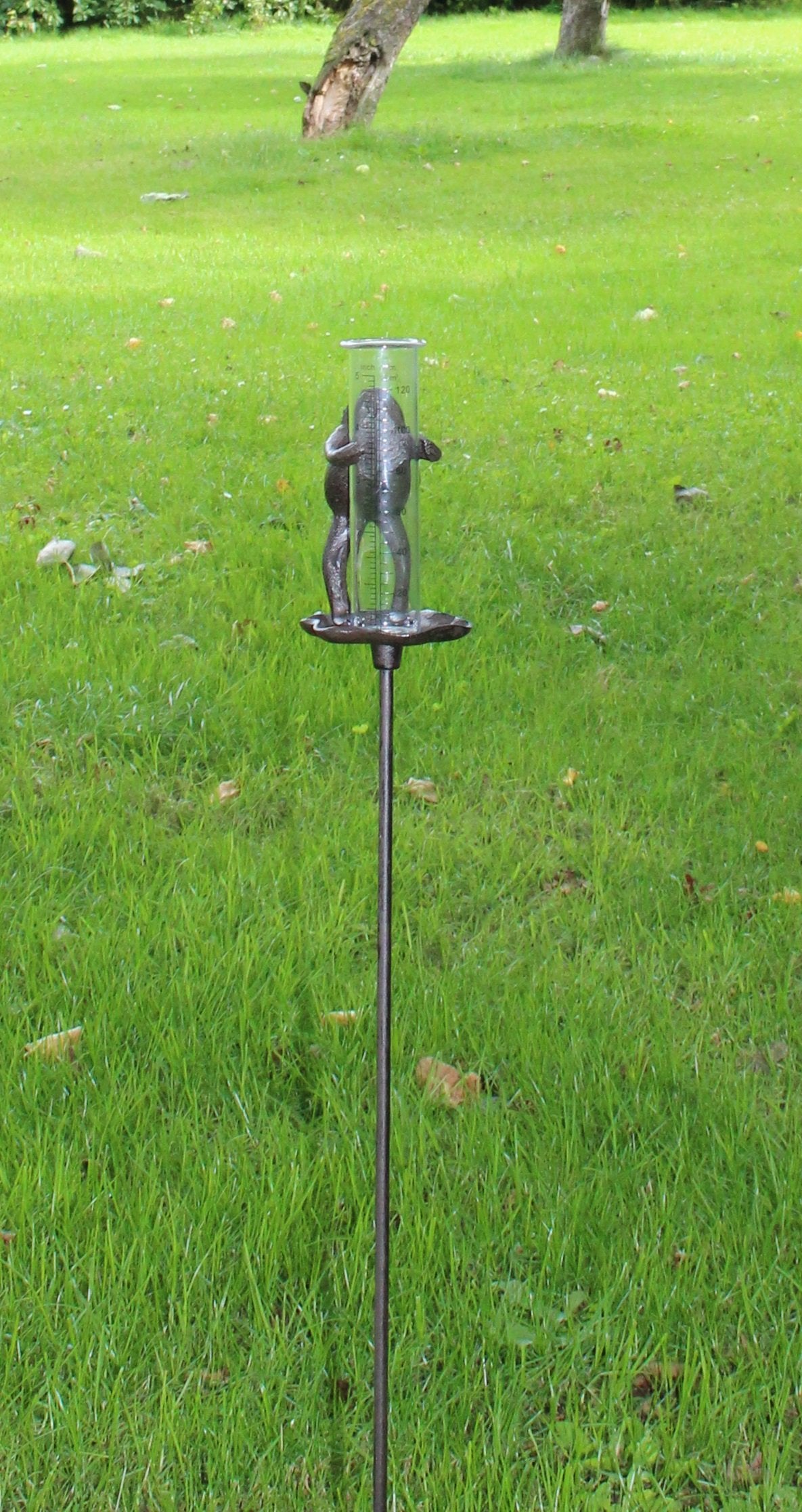 Cast Iron and Glass Garden Rain Gauge, Frog On Lily Pad