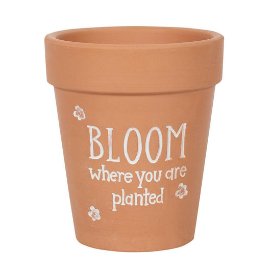 Bloom Where You Are Planted Terracotta Plant Pot - DuvetDay.co.uk