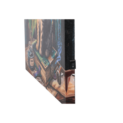 Book of Shadows Light Up Canvas Plaque by Lisa Parker - DuvetDay.co.uk