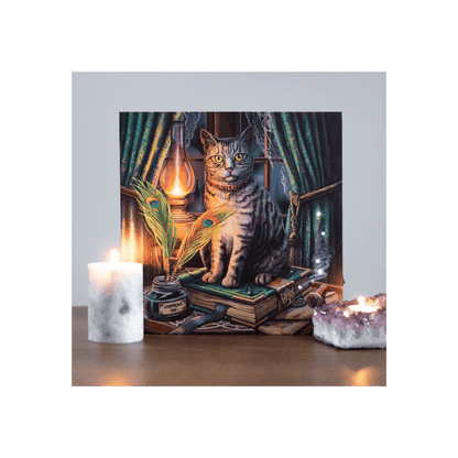 Book of Shadows Light Up Canvas Plaque by Lisa Parker - DuvetDay.co.uk