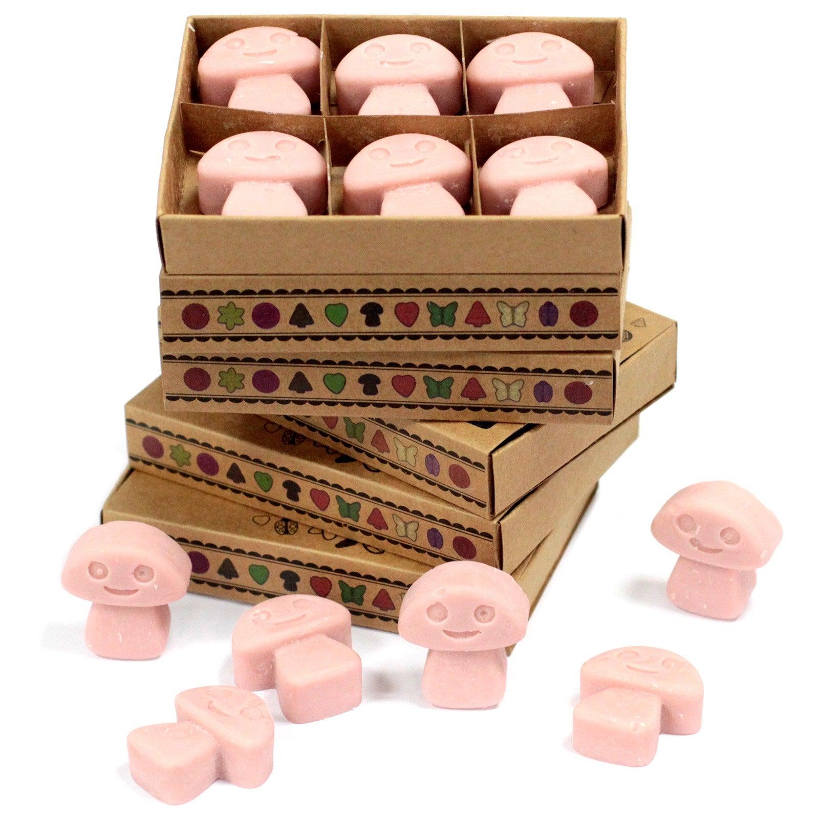 Box of 6 Wax Melts - Coffee Trader - DuvetDay.co.uk