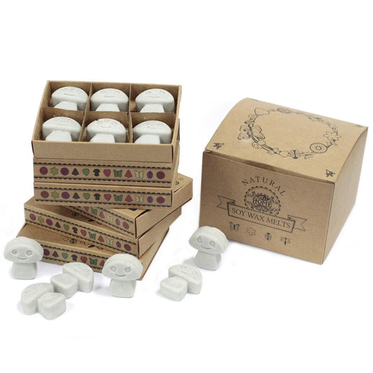 Box of 6 Wax Melts - Dark Patchouli - DuvetDay.co.uk