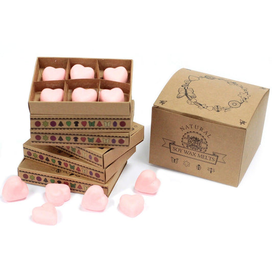 Box of 6 Wax Melts - Dragon's Blood - DuvetDay.co.uk