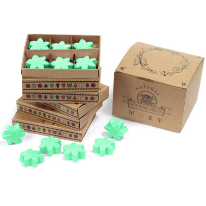 Box of 6 Wax Melts - Hidden Garden - DuvetDay.co.uk