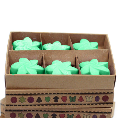 Box of 6 Wax Melts - Hidden Garden - DuvetDay.co.uk