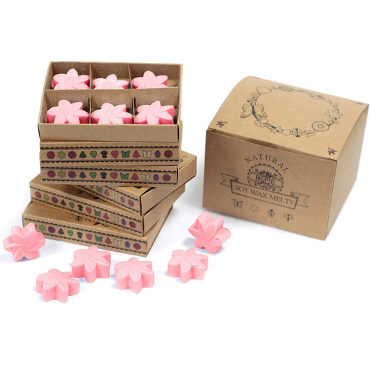 Box of 6 Wax Melts - Japanese Magnolia - DuvetDay.co.uk