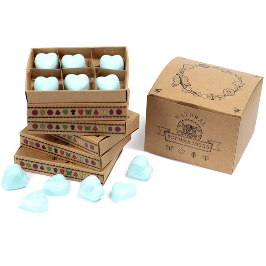 Box of 6 Wax Melts - Nagchampa - DuvetDay.co.uk