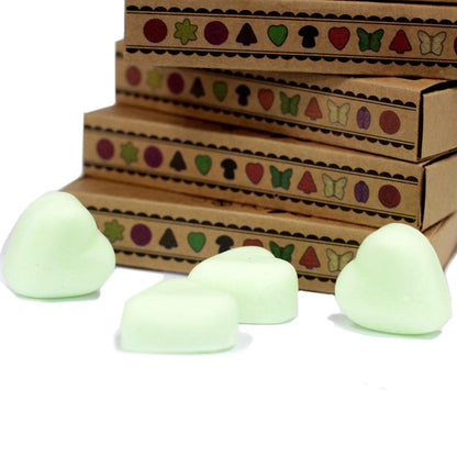 Box of 6 Wax Melts - Watermelon Fresh - DuvetDay.co.uk