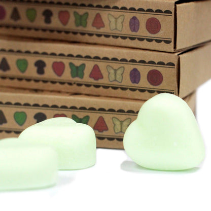Box of 6 Wax Melts - Watermelon Fresh - DuvetDay.co.uk