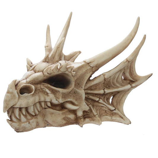 Collectable Dragon Skull - DuvetDay.co.uk