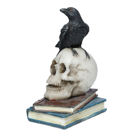 Crow Standing on Skull and Books Ornament - DuvetDay.co.uk