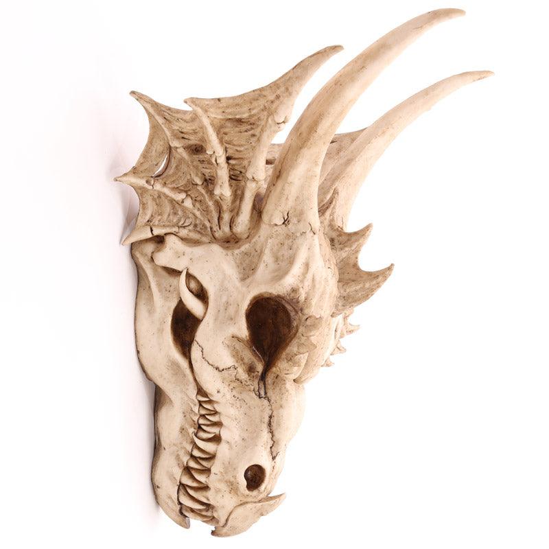 Decorative Fantasy Dragon Skull
