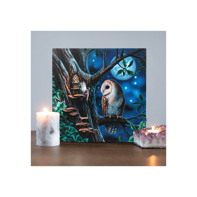 Fairy Tales Light Up Canvas Plaque by Lisa Parker - DuvetDay.co.uk