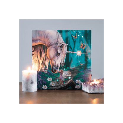 Fairy Whispers Light Up Canvas Plaque by Lisa Parker - DuvetDay.co.uk